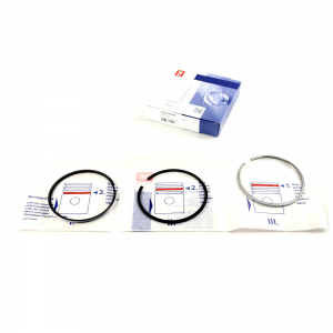 Кольца поршневые Ford Connect 1.8TDCI 02- (82.50mm/STD) (2.5-2-3) = 8921060000