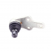 Опора шаровая (передняя/снизу/R) Ford C-Max II 10-/Focus III 10- (d=21mm) Опора шаровая (передняя/снизу/R) Ford C-Max II 10-/Focus III 10- (d=21mm)