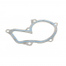 Помпа воды Ford Fiesta/Focus 1.0-1.6 96-/Volvo S40/V50 1.6 05-12