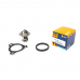 Термостат Fiat Ducato/Ford Transit 2.2-2.4 D/TDCI 06-